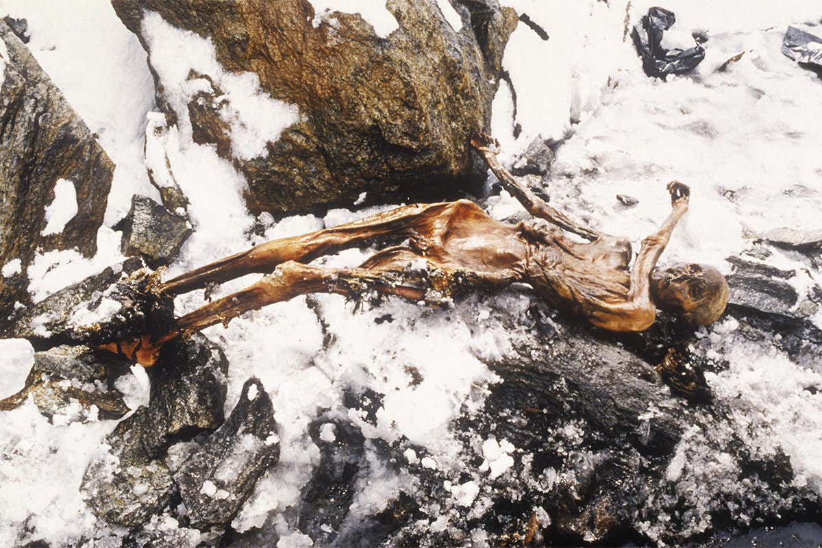 Ötzi was discovered on the Similaun mountain on the Austrian-Italian border
