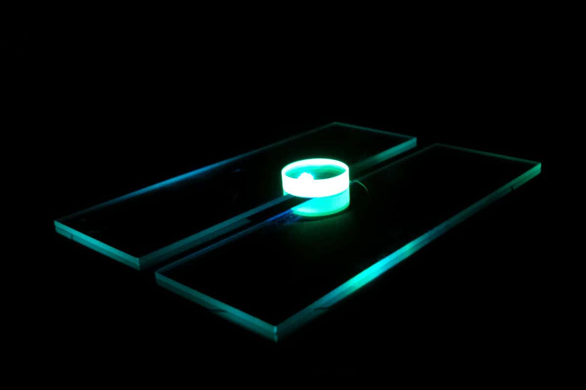 Green fluorescence from a thin film of eGFP under excitation with blue light.