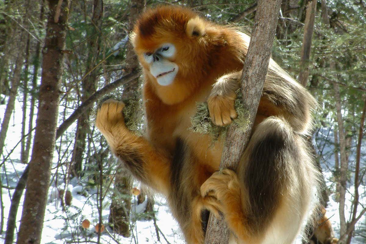 New Scientist. Science news and long reads from expert journalists, covering developments in science, technology, health and the environment on the website and the magazine.