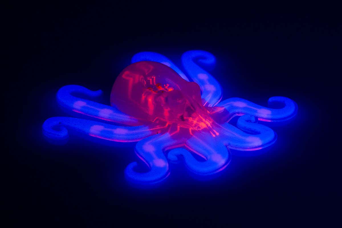 New Scientist. Science news and long reads from expert journalists, covering developments in science, technology, health and the environment on the website and the magazine.