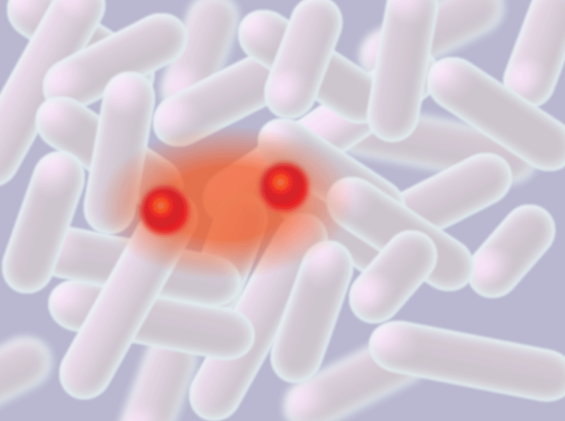 Supersized molecules stretch a thousand times further than usual