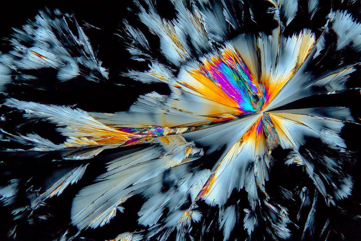 New Scientist. Science news and long reads from expert journalists, covering developments in science, technology, health and the environment on the website and the magazine.