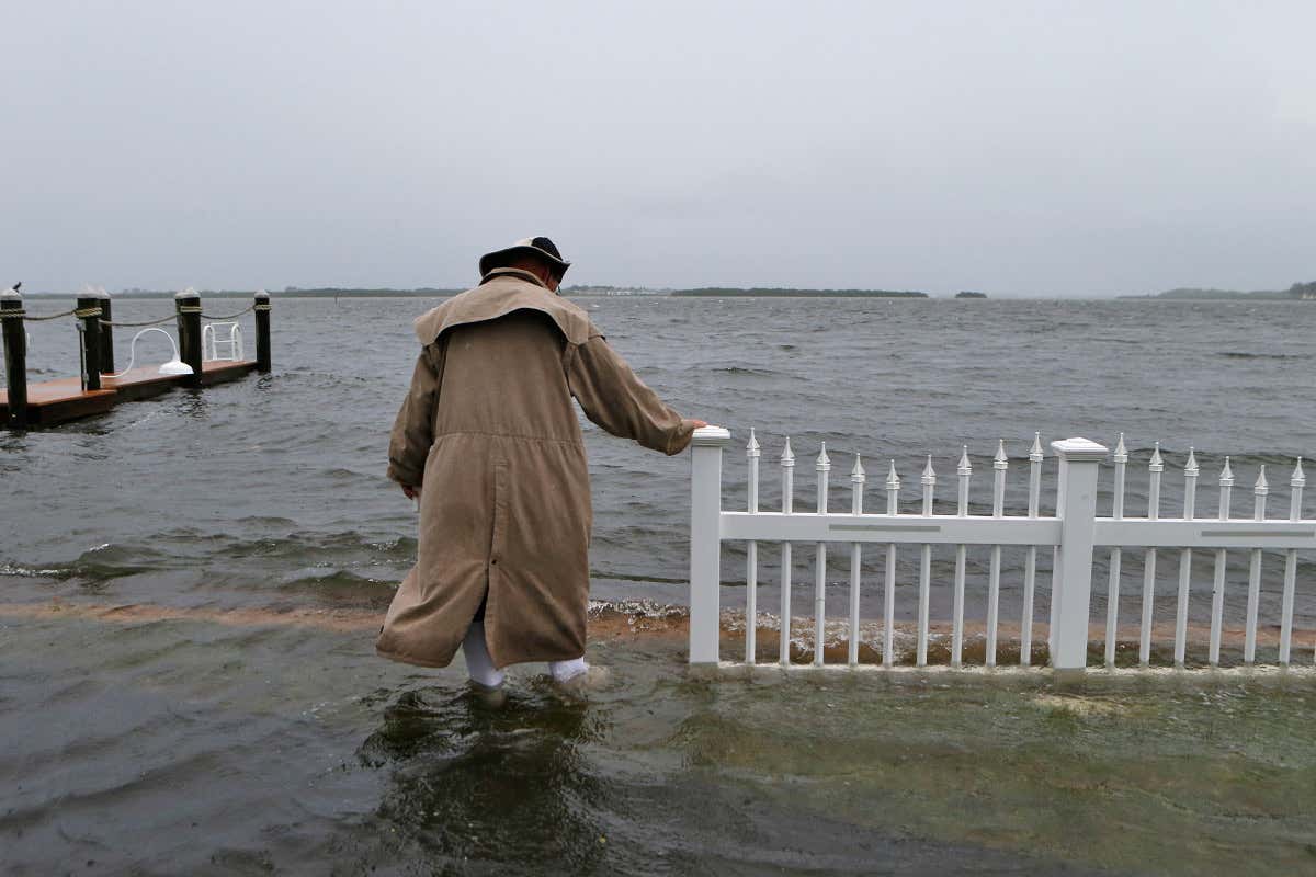 New Scientist. Science news and long reads from expert journalists, covering developments in science, technology, health and the environment on the website and the magazine.