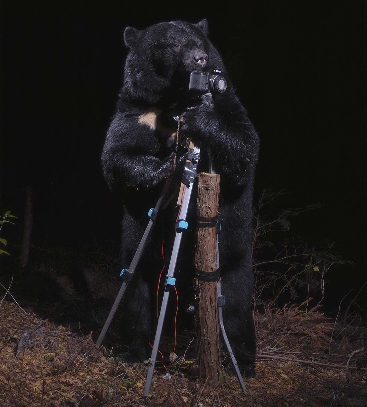 New Scientist. Science news and long reads from expert journalists, covering developments in science, technology, health and the environment on the website and the magazine.