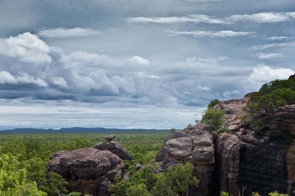 rocky outcrop and forest