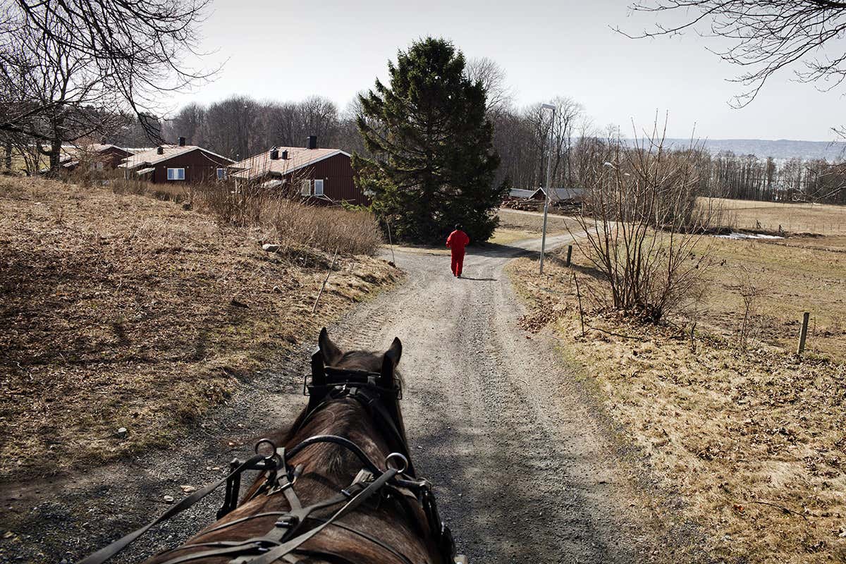 New Scientist. Science news and long reads from expert journalists, covering developments in science, technology, health and the environment on the website and the magazine.