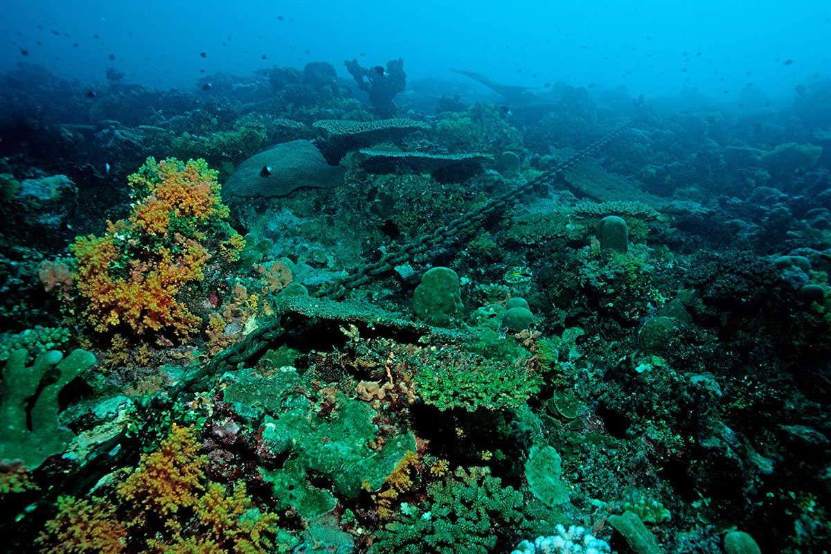 New Scientist. Science news and long reads from expert journalists, covering developments in science, technology, health and the environment on the website and the magazine.