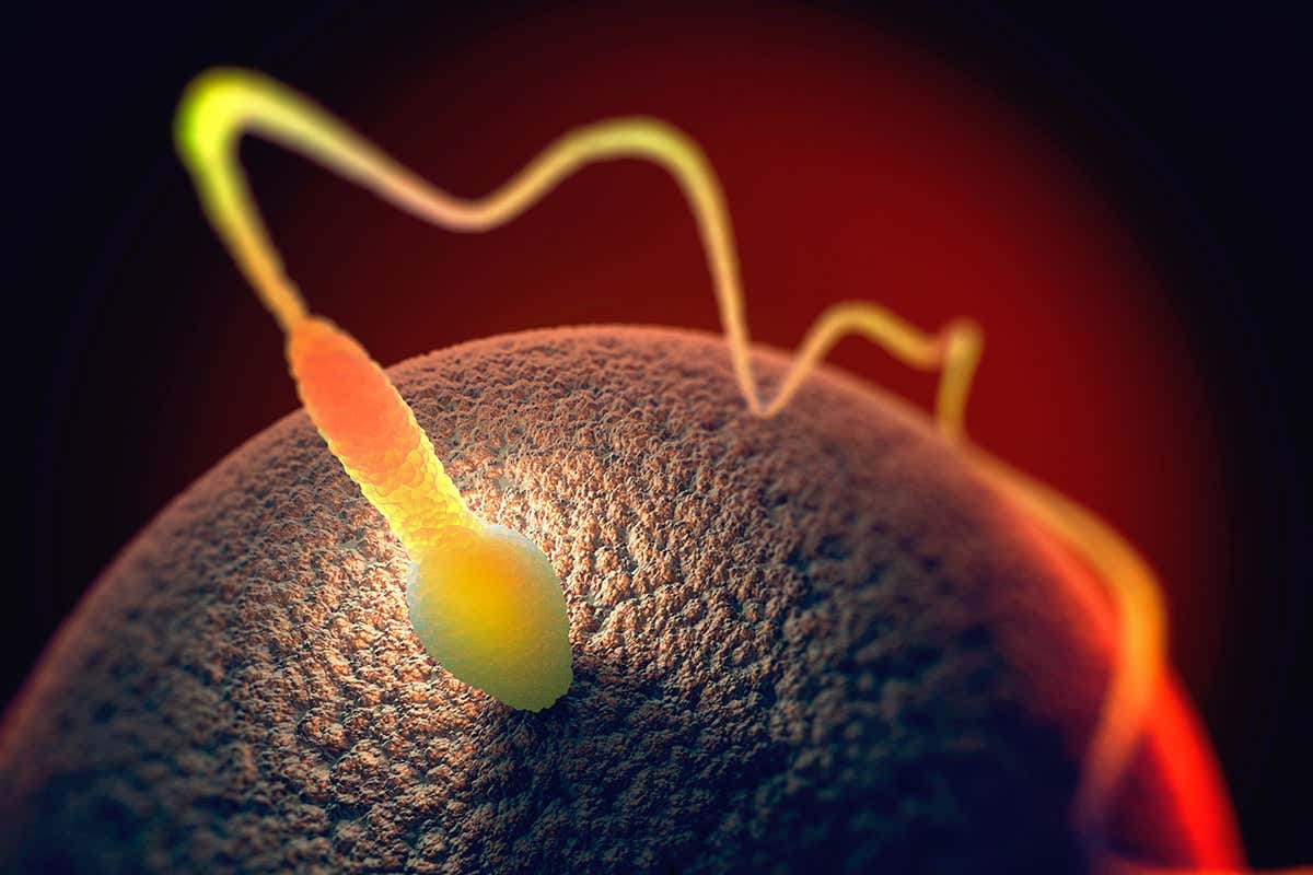 New Scientist. Science news and long reads from expert journalists, covering developments in science, technology, health and the environment on the website and the magazine.