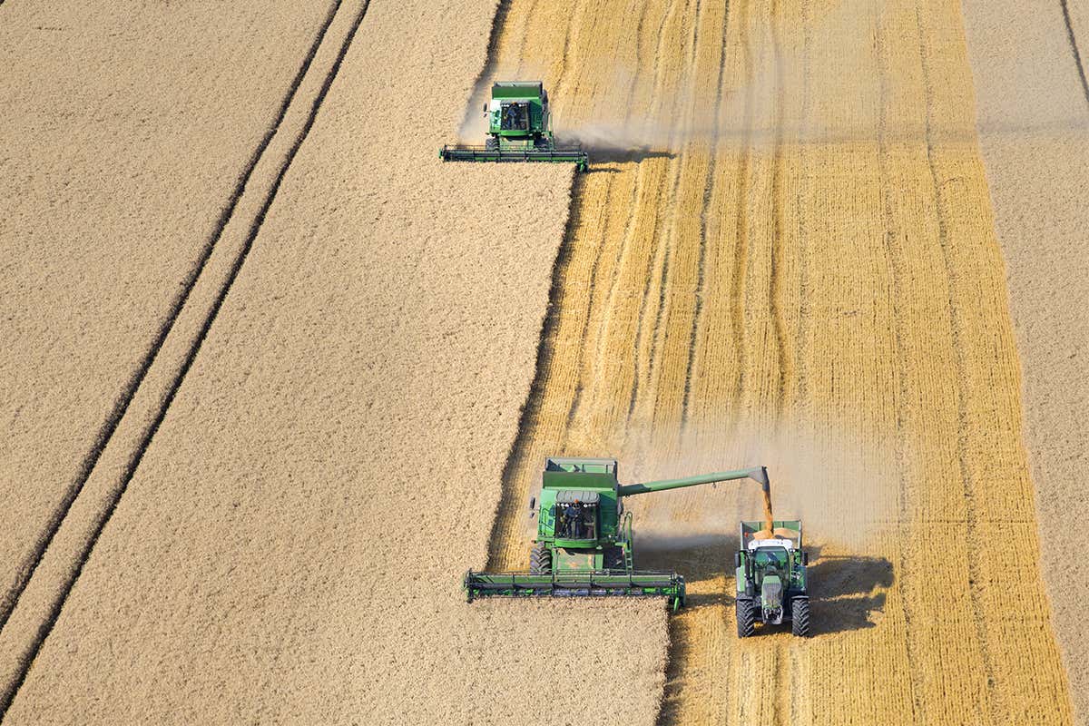 New Scientist. Science news and long reads from expert journalists, covering developments in science, technology, health and the environment on the website and the magazine.