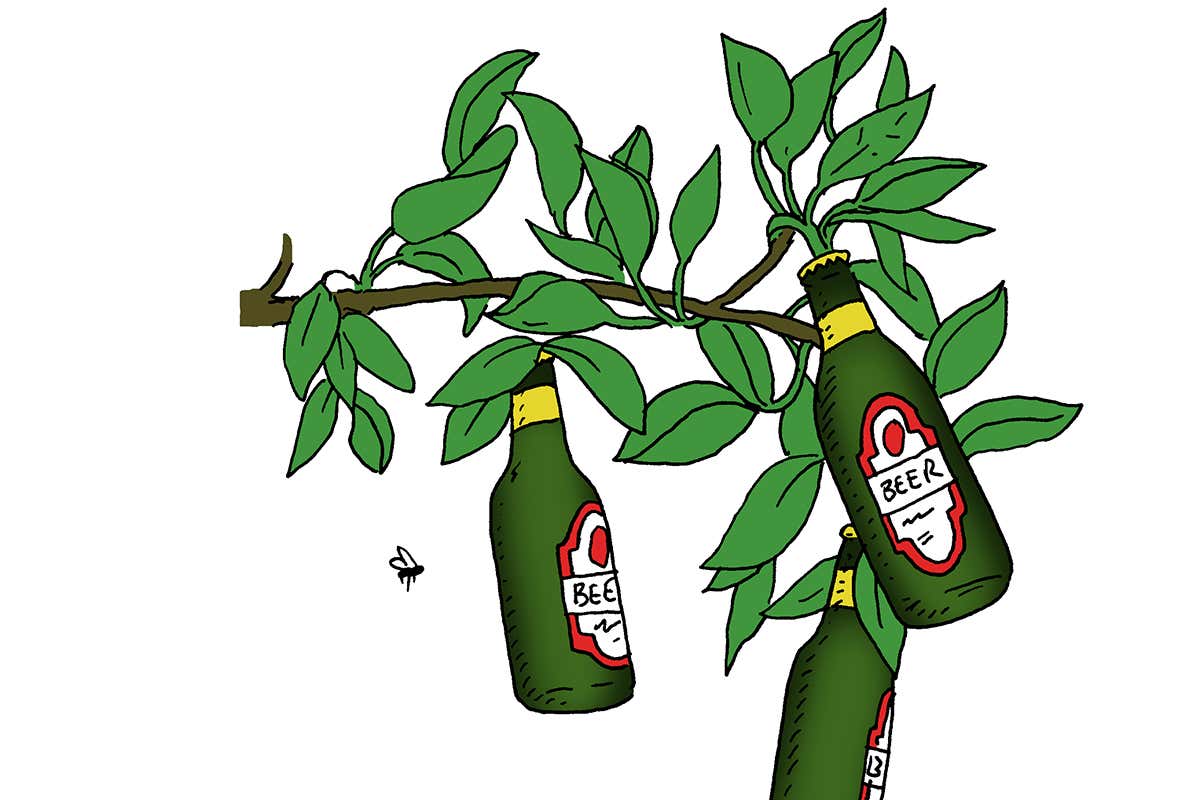 beer tree