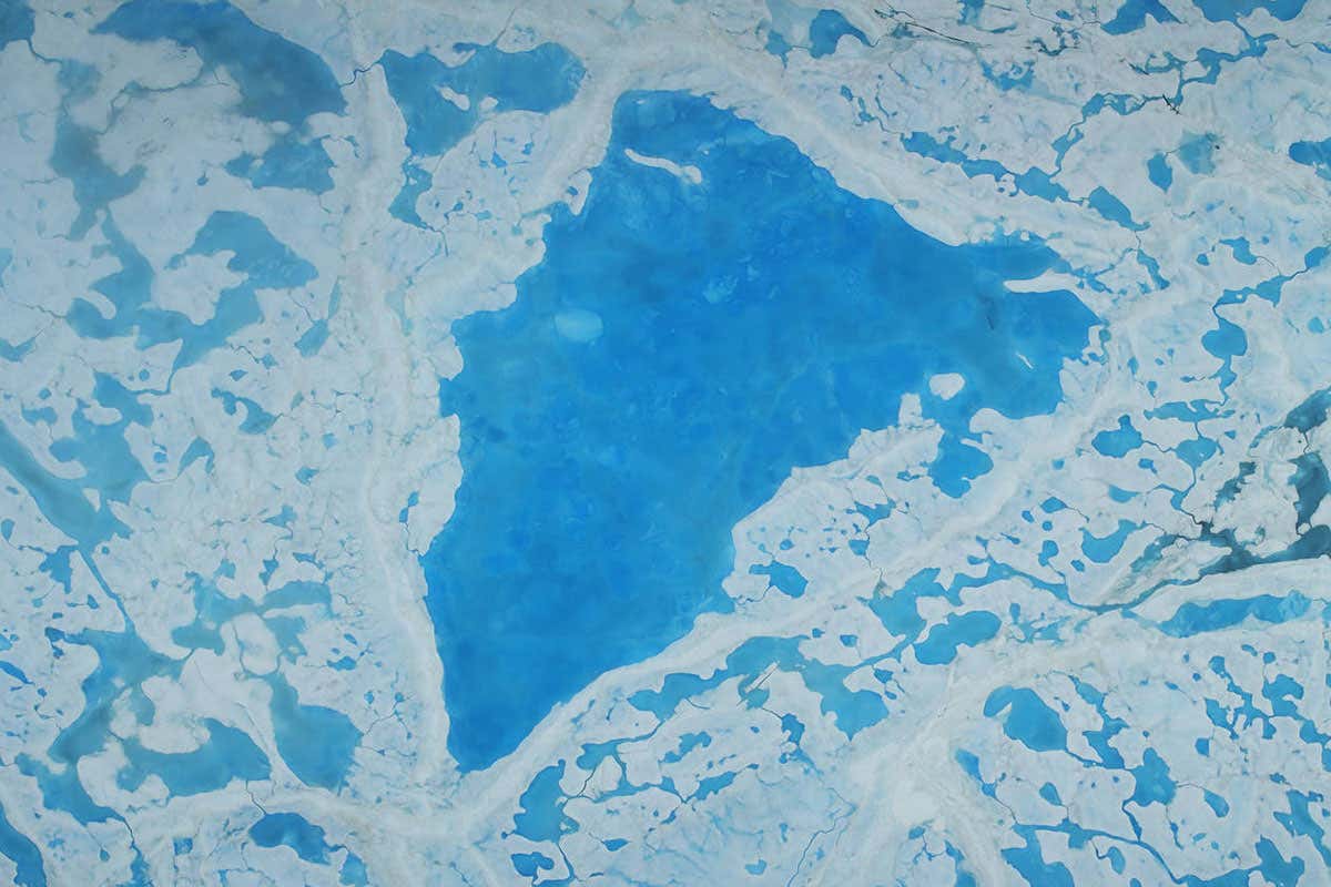 New Scientist. Science news and long reads from expert journalists, covering developments in science, technology, health and the environment on the website and the magazine.