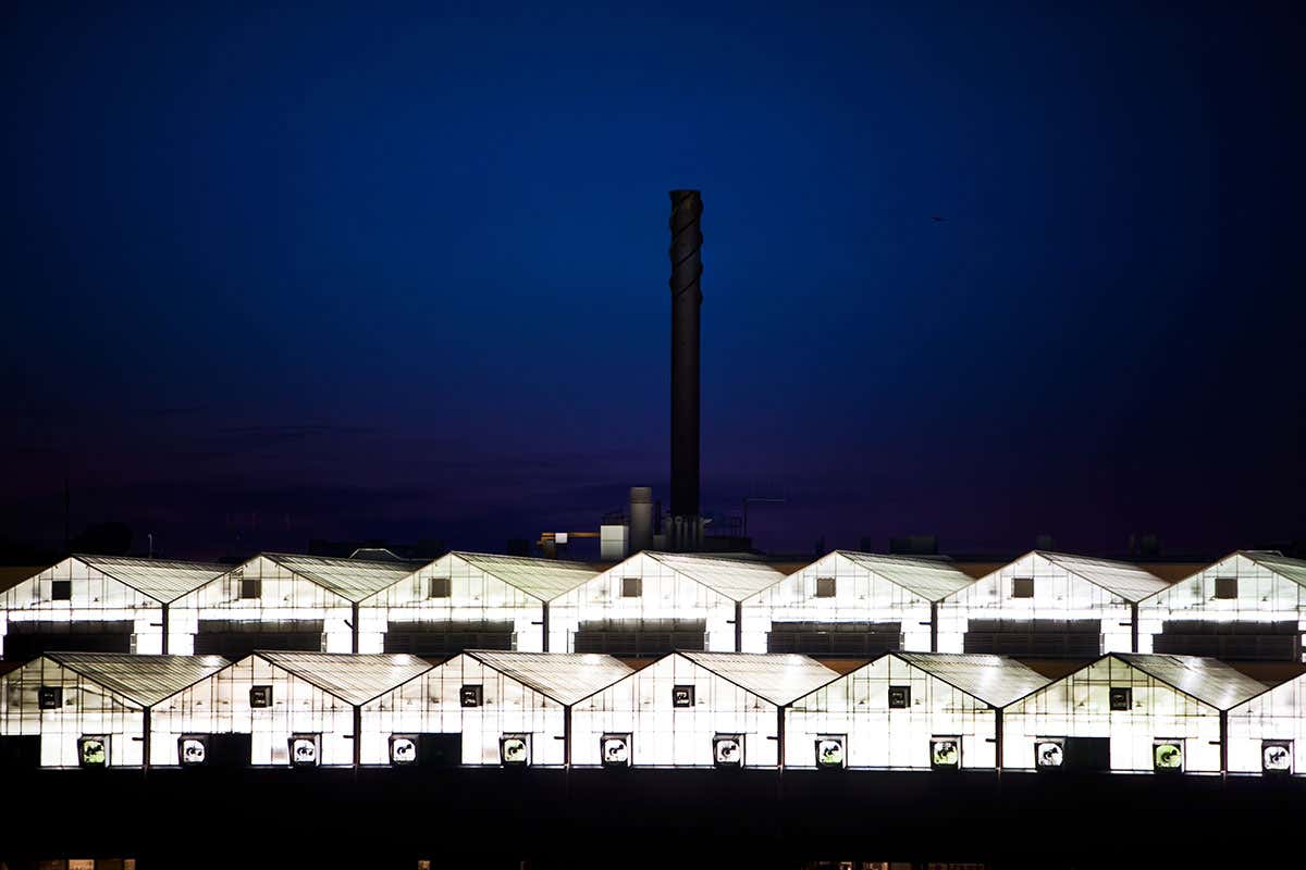 Monsanto cuts deal to use CRISPR to engineer food