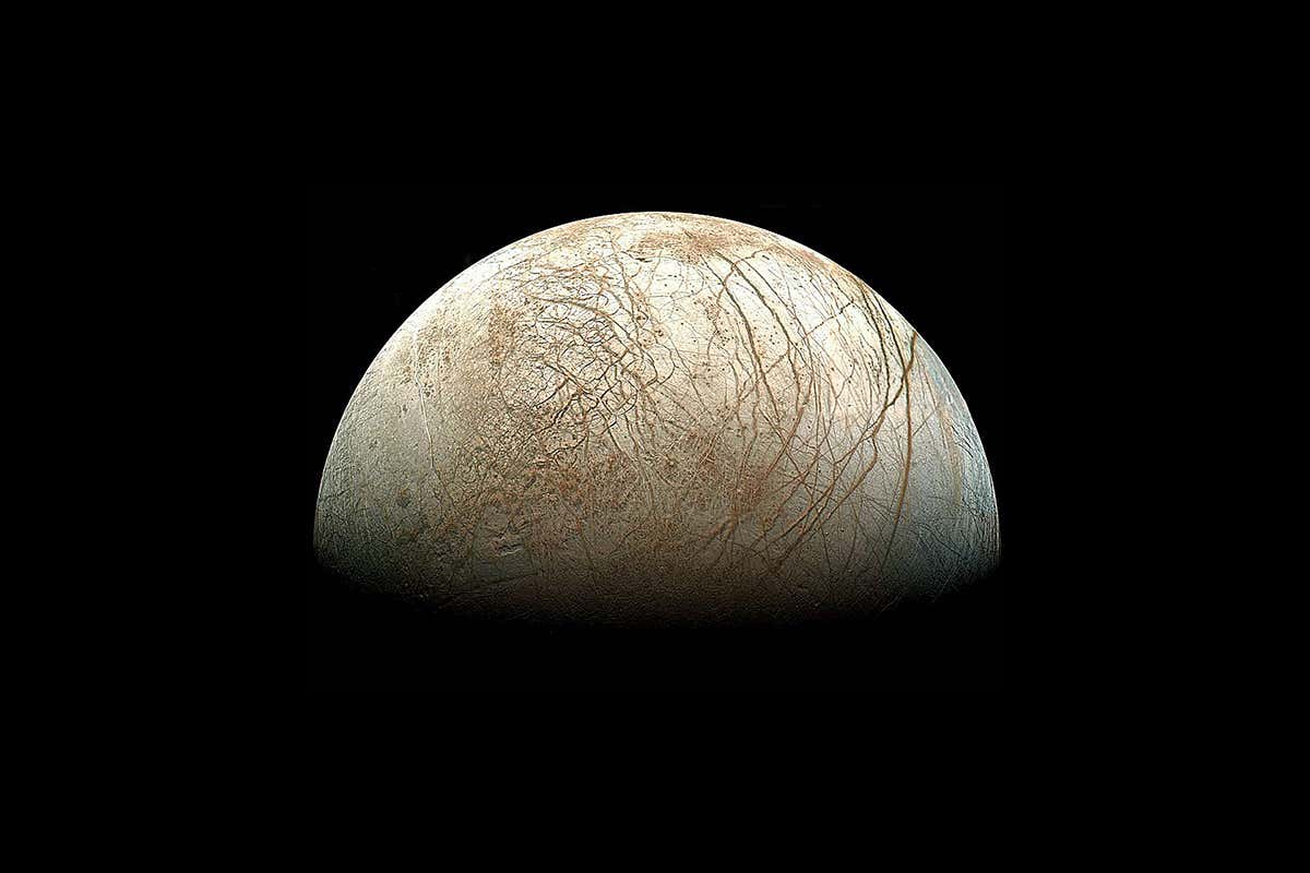 New Scientist. Science news and long reads from expert journalists, covering developments in science, technology, health and the environment on the website and the magazine.