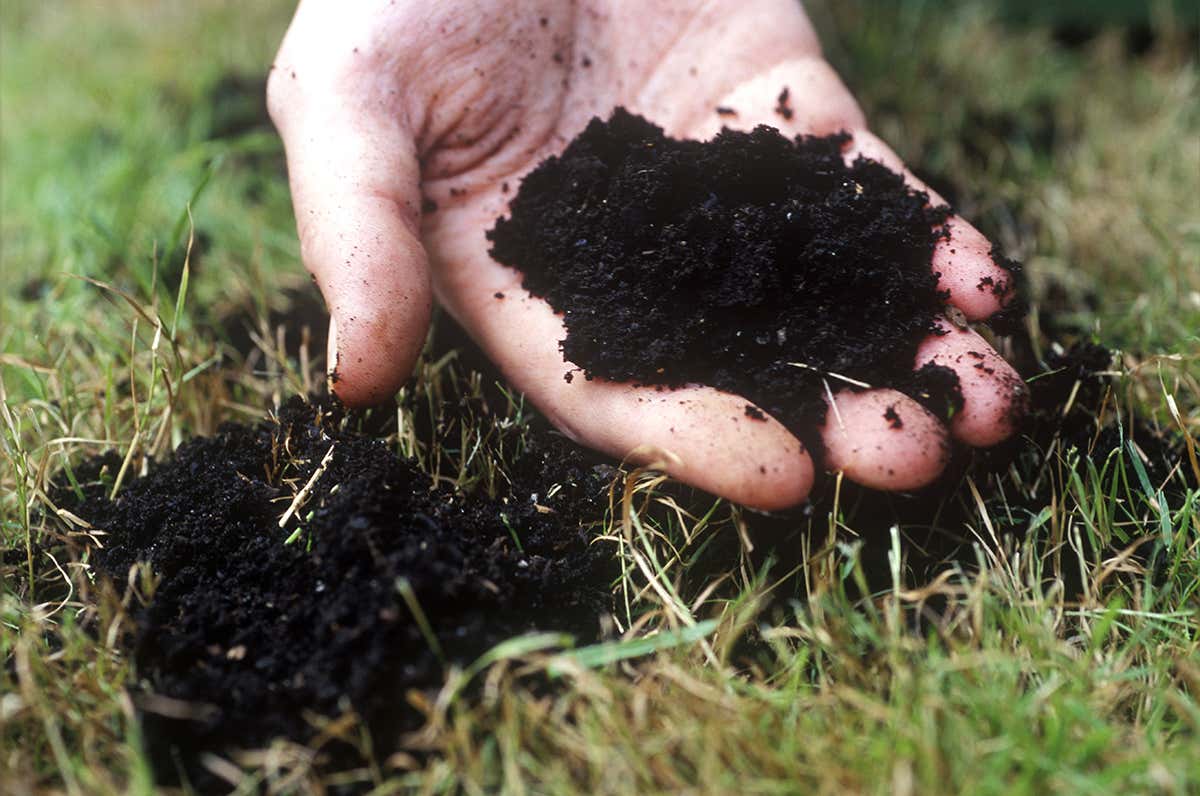 New Scientist. Science news and long reads from expert journalists, covering developments in science, technology, health and the environment on the website and the magazine.