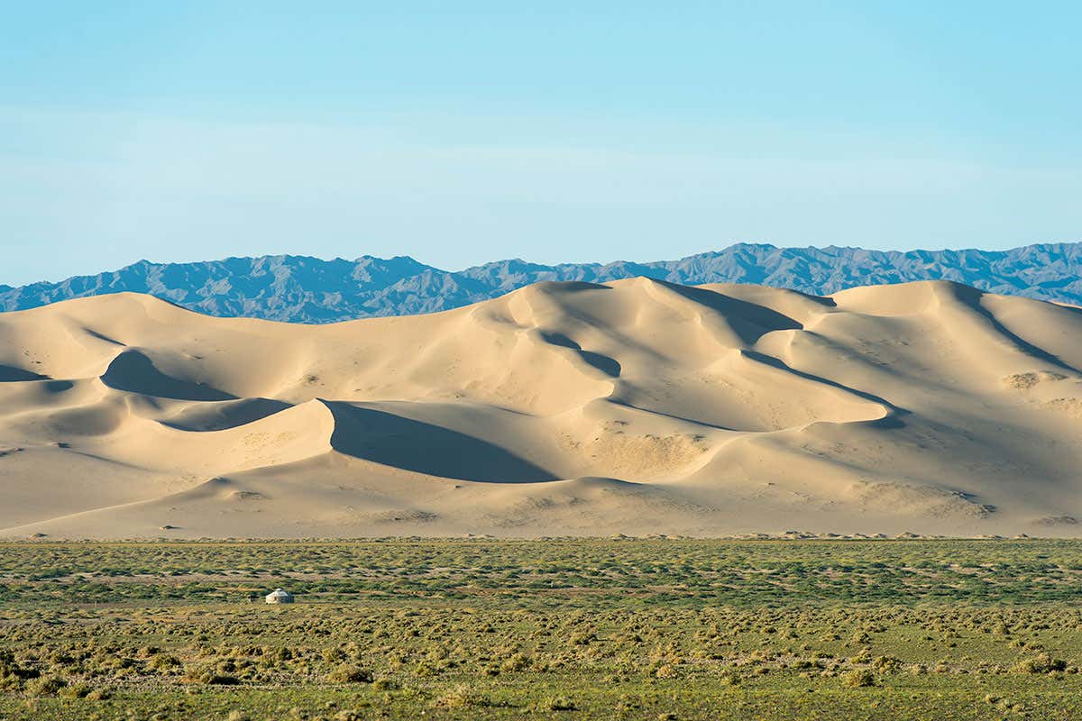 New Scientist. Science news and long reads from expert journalists, covering developments in science, technology, health and the environment on the website and the magazine.