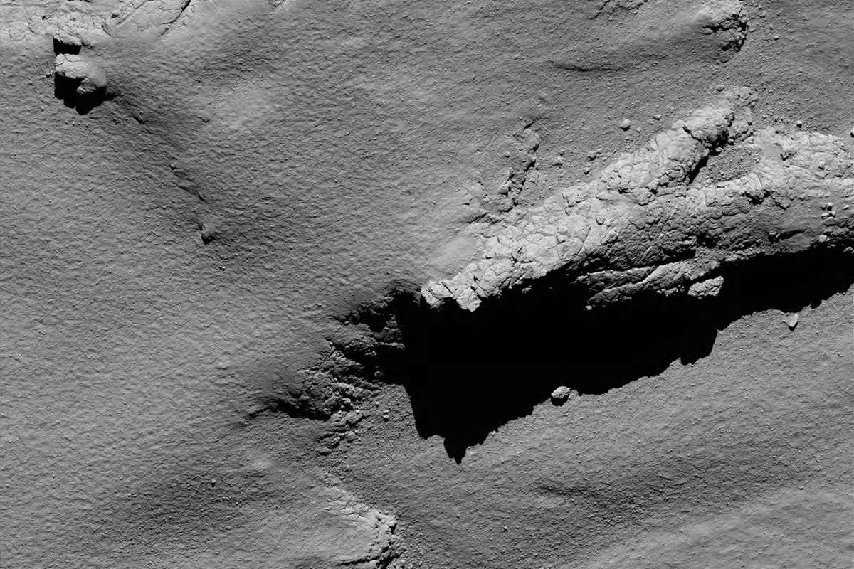 New Scientist. Science news and long reads from expert journalists, covering developments in science, technology, health and the environment on the website and the magazine.