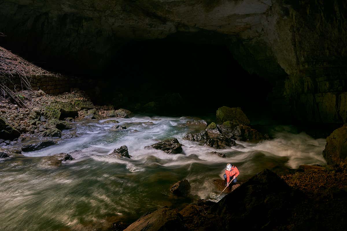  cave-biologist-primož-gnezda-in-the-pivka-river-in-postojna-cave-catching-the-olms-lunch-amphipods.