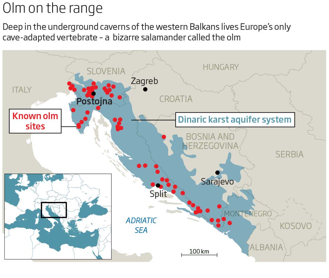 New Scientist. Science news and long reads from expert journalists, covering developments in science, technology, health and the environment on the website and the magazine.