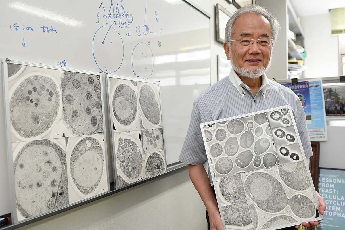 New Scientist. Science news and long reads from expert journalists, covering developments in science, technology, health and the environment on the website and the magazine.