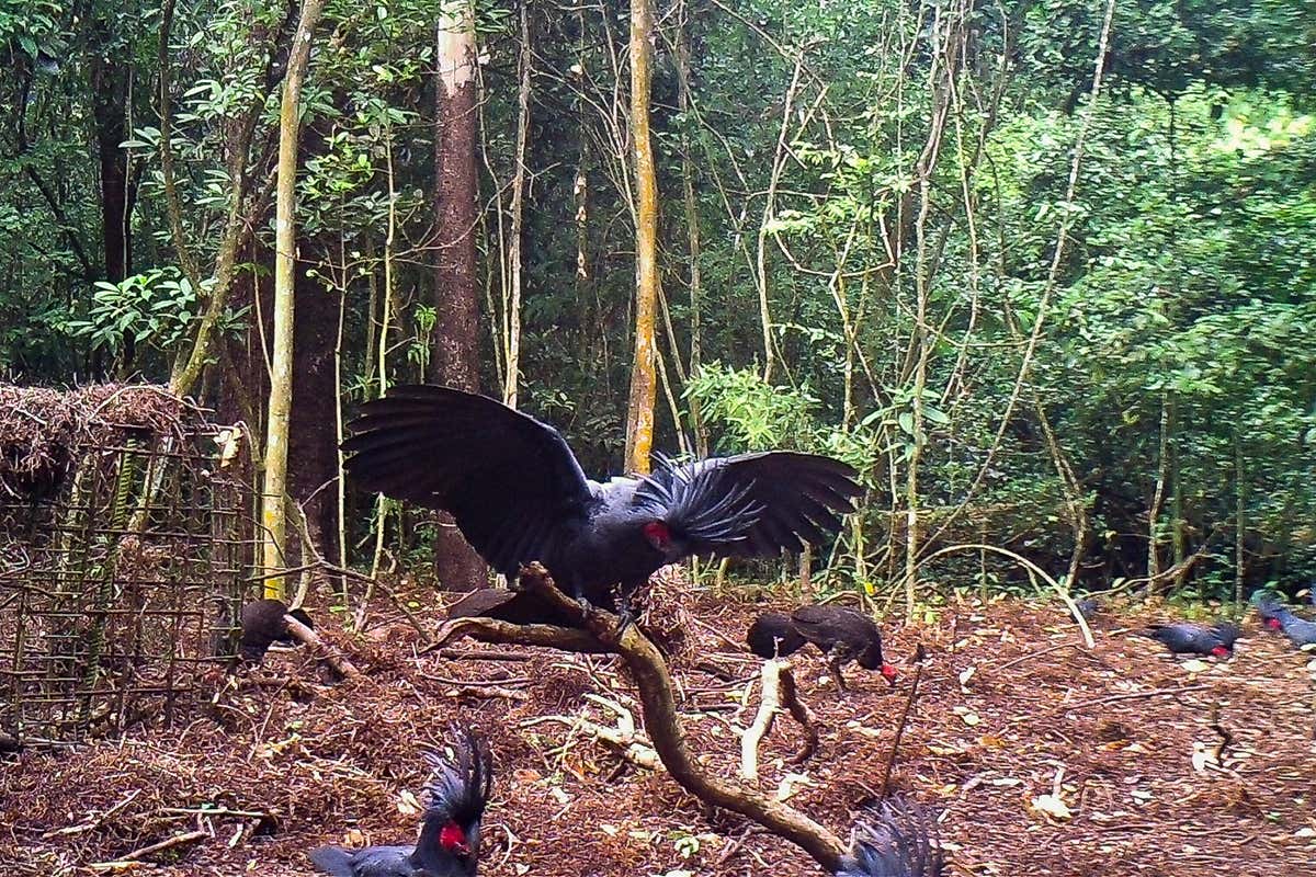 New Scientist. Science news and long reads from expert journalists, covering developments in science, technology, health and the environment on the website and the magazine.