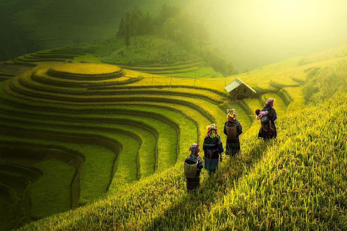 New Scientist. Science news and long reads from expert journalists, covering developments in science, technology, health and the environment on the website and the magazine.