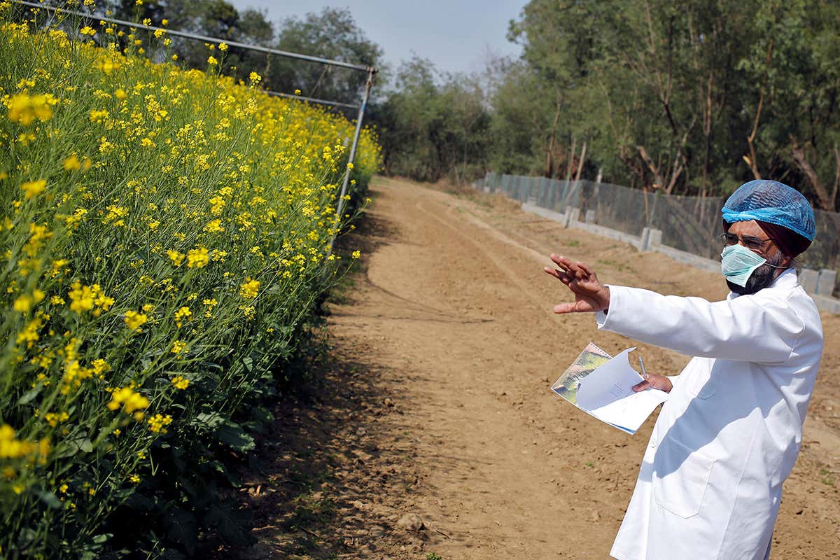 New Scientist. Science news and long reads from expert journalists, covering developments in science, technology, health and the environment on the website and the magazine.