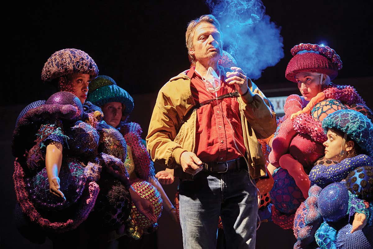 Musical: A Pacifist's Guide to the War on Cancer