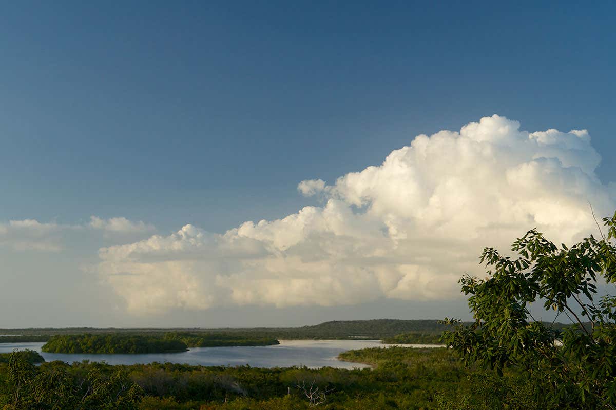 New Scientist. Science news and long reads from expert journalists, covering developments in science, technology, health and the environment on the website and the magazine.