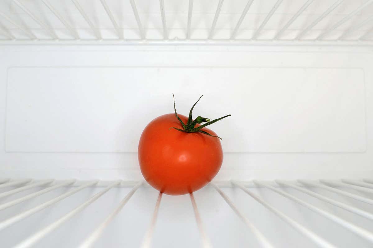 A tomato in a fridge