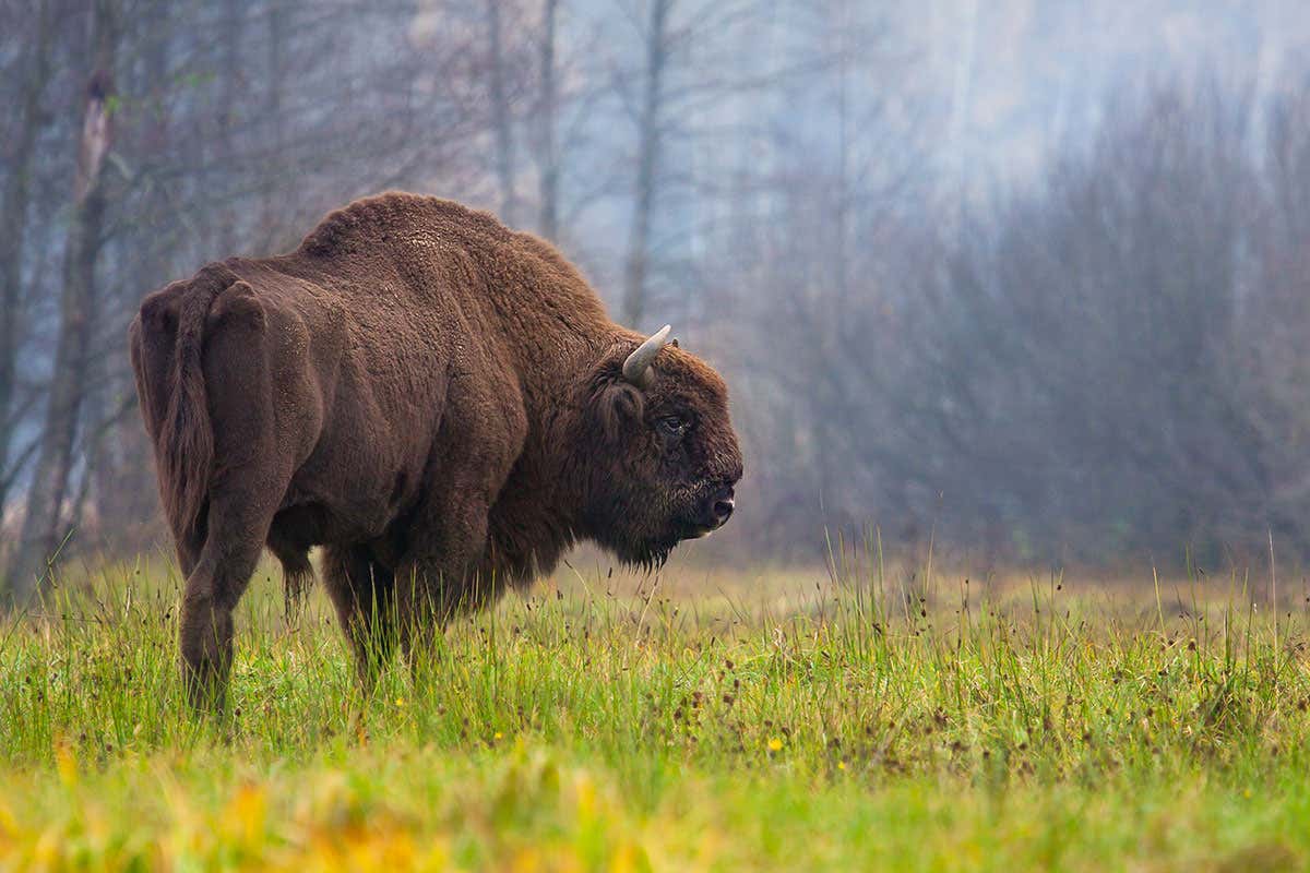 New Scientist. Science news and long reads from expert journalists, covering developments in science, technology, health and the environment on the website and the magazine.