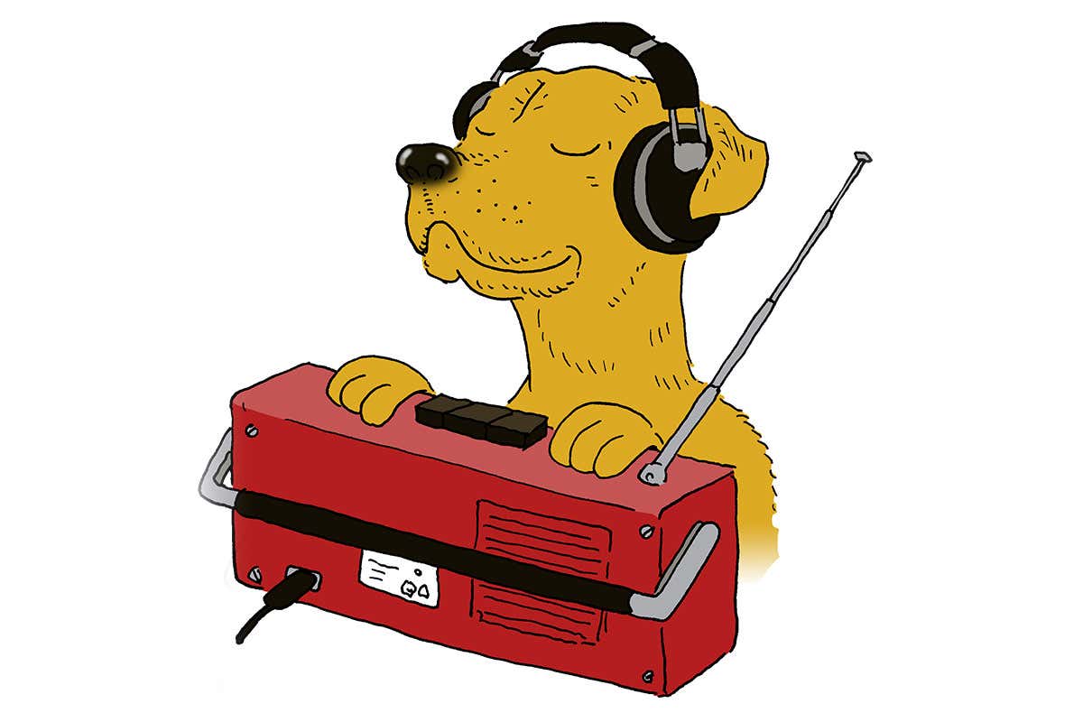 cartoon dog radio