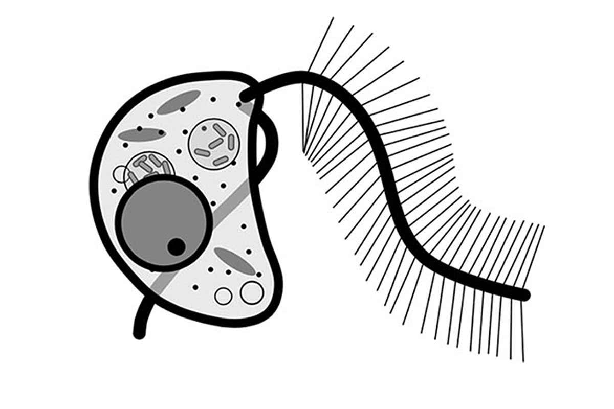 New Scientist. Science news and long reads from expert journalists, covering developments in science, technology, health and the environment on the website and the magazine.