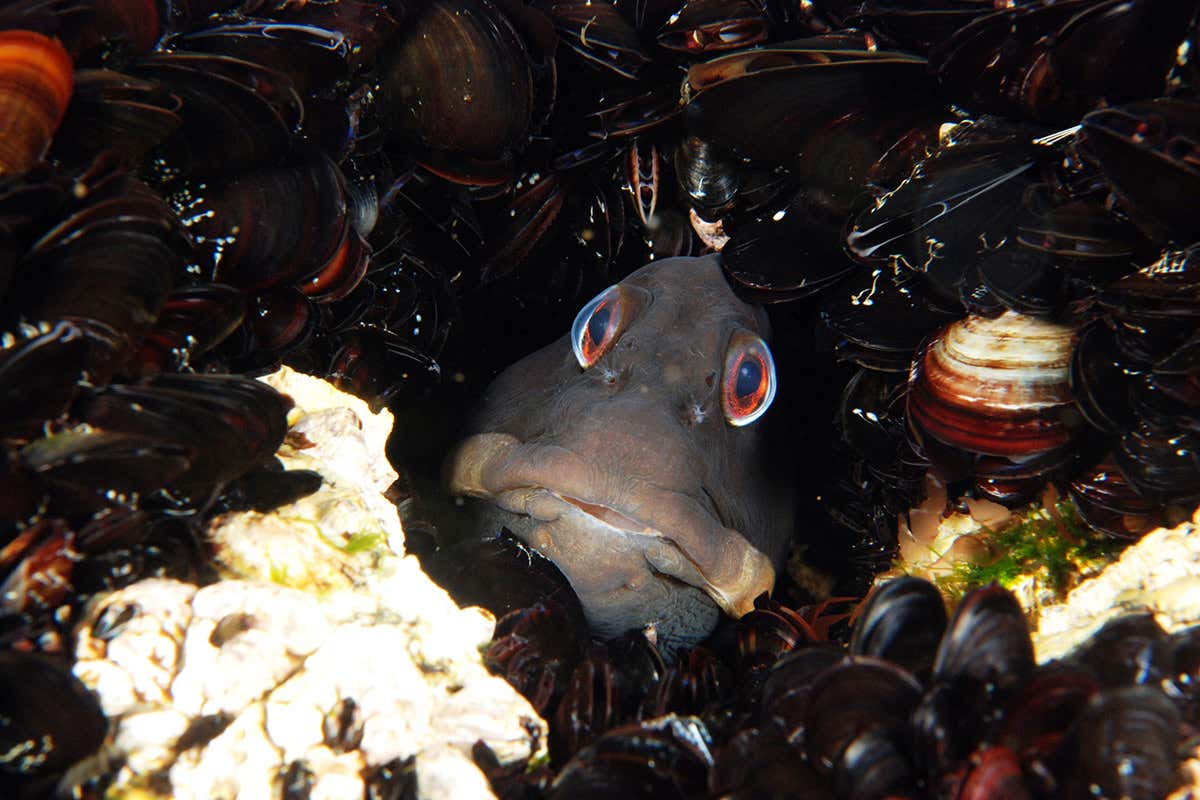 New Scientist. Science news and long reads from expert journalists, covering developments in science, technology, health and the environment on the website and the magazine.