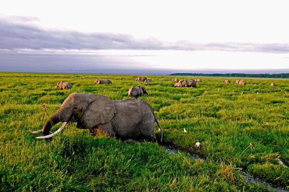 New Scientist. Science news and long reads from expert journalists, covering developments in science, technology, health and the environment on the website and the magazine.