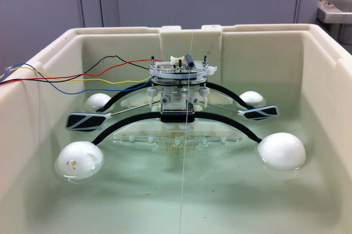 A robot floats in a small tank of water with the aid of four polystyrene balls on arm-like features