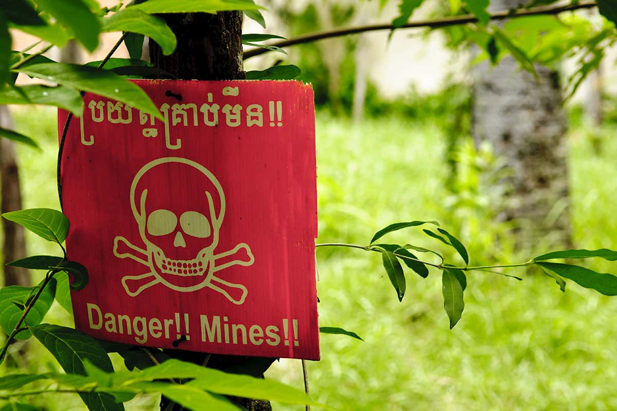 A beware mines sign on a tree