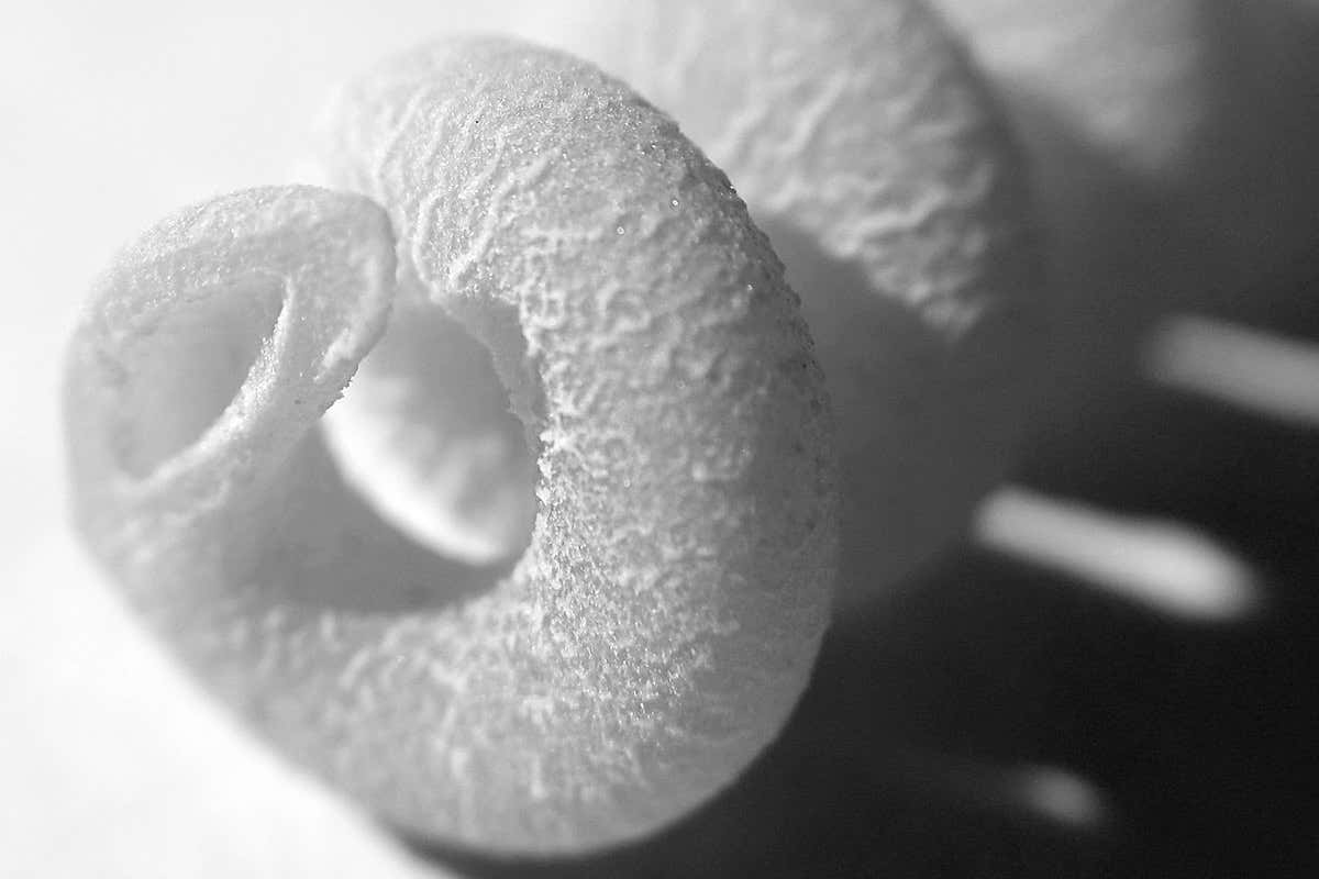 New Scientist. Science news and long reads from expert journalists, covering developments in science, technology, health and the environment on the website and the magazine.