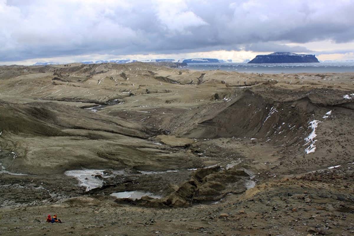 New Scientist. Science news and long reads from expert journalists, covering developments in science, technology, health and the environment on the website and the magazine.