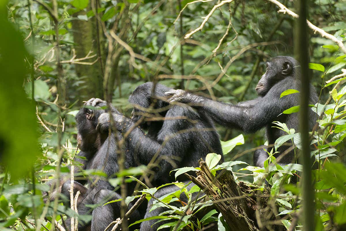 Deteriorating eyesight may be inevitable