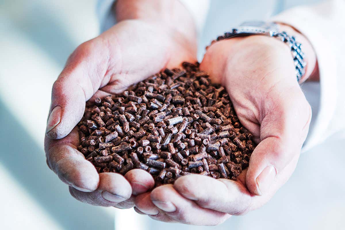 New Scientist. Science news and long reads from expert journalists, covering developments in science, technology, health and the environment on the website and the magazine.