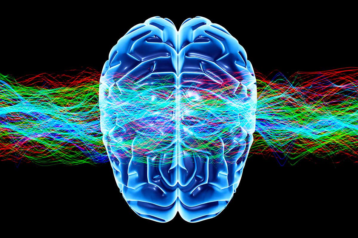 Illustration of brain