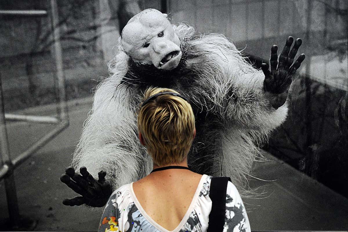 My biology made me do it? Why some voters may embrace the right