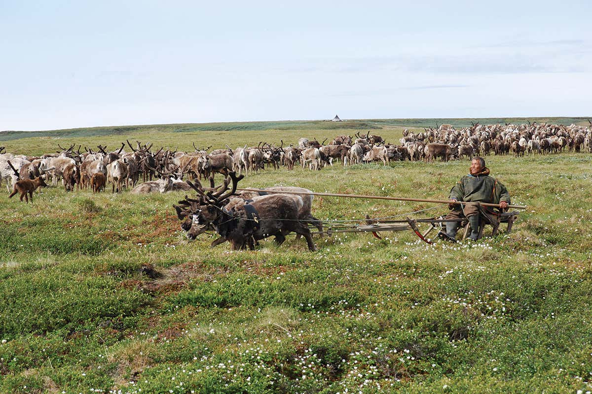 New Scientist. Science news and long reads from expert journalists, covering developments in science, technology, health and the environment on the website and the magazine.