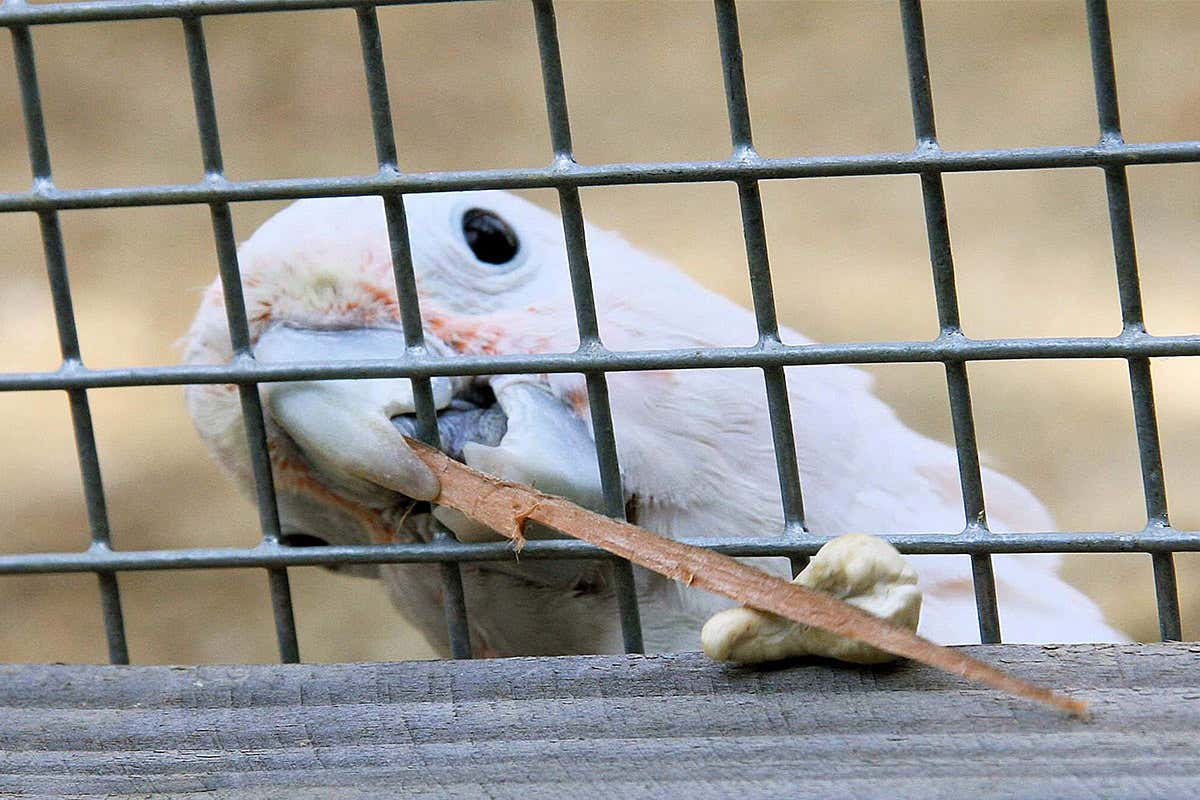 New Scientist. Science news and long reads from expert journalists, covering developments in science, technology, health and the environment on the website and the magazine.