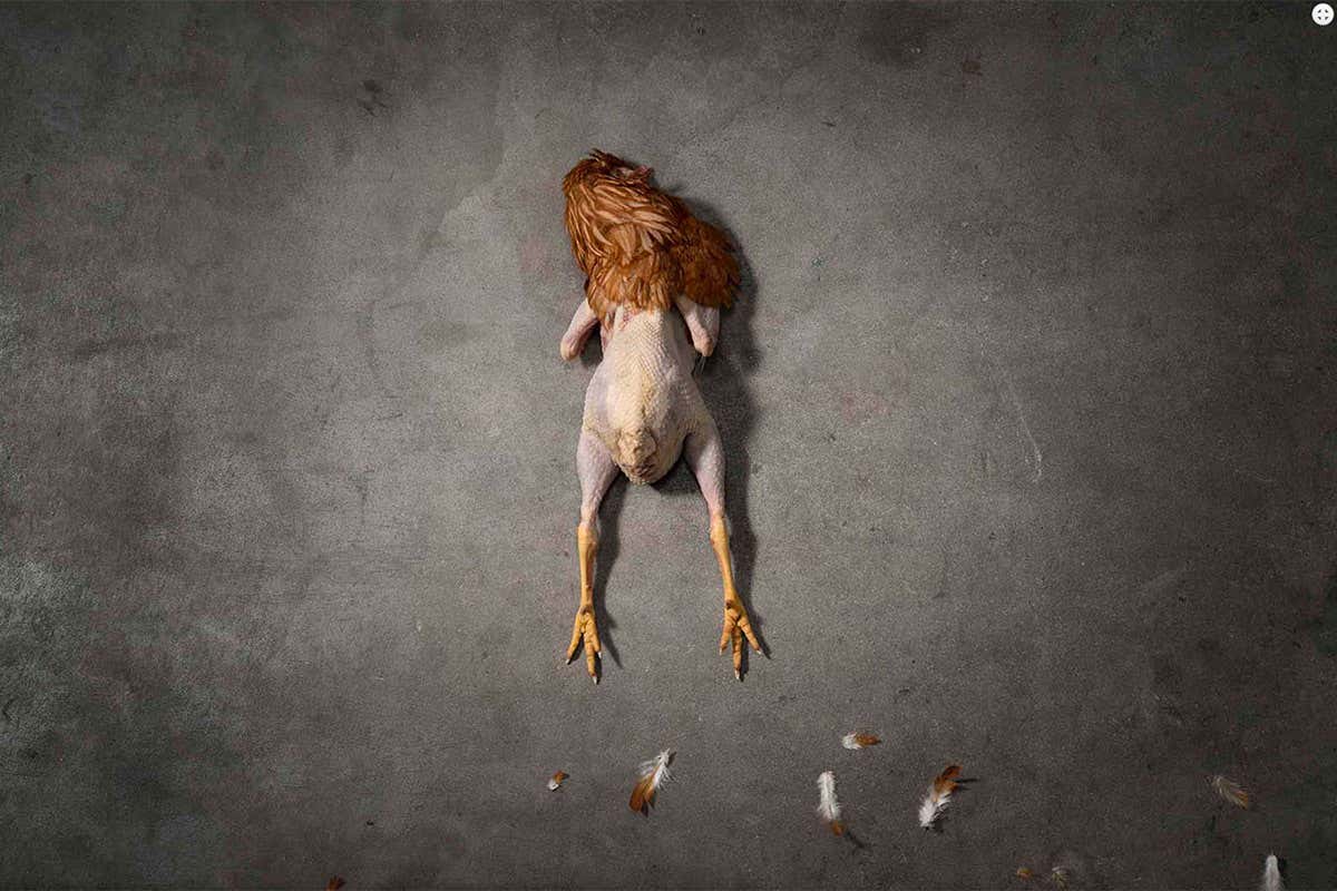 Flying machines and chickens: The art of thinking about science