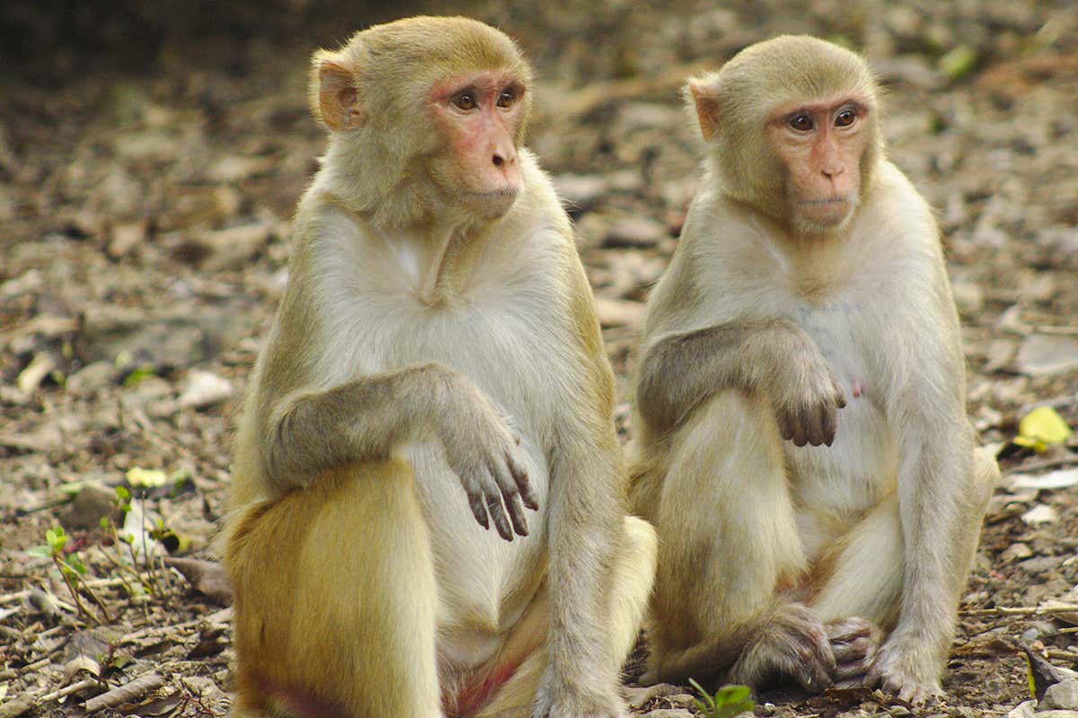 New Scientist. Science news and long reads from expert journalists, covering developments in science, technology, health and the environment on the website and the magazine.