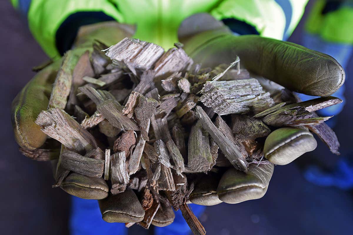 New Scientist. Science news and long reads from expert journalists, covering developments in science, technology, health and the environment on the website and the magazine.