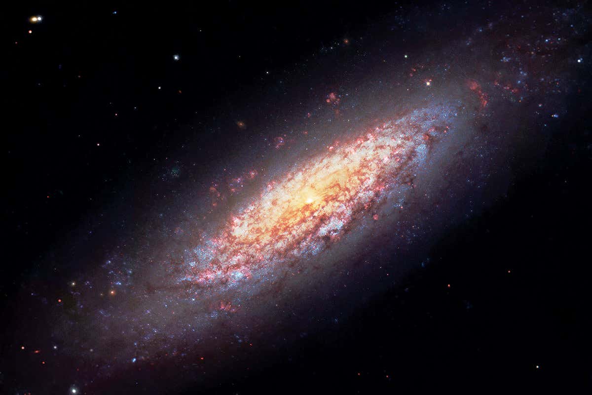 Dwarf spiral galaxy