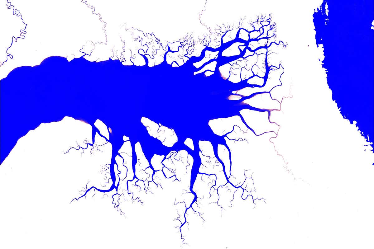 Bird’s Head Peninsula in West Papua – permanent areas of water are shown in blue, pink denotes areas where water is found less frequently