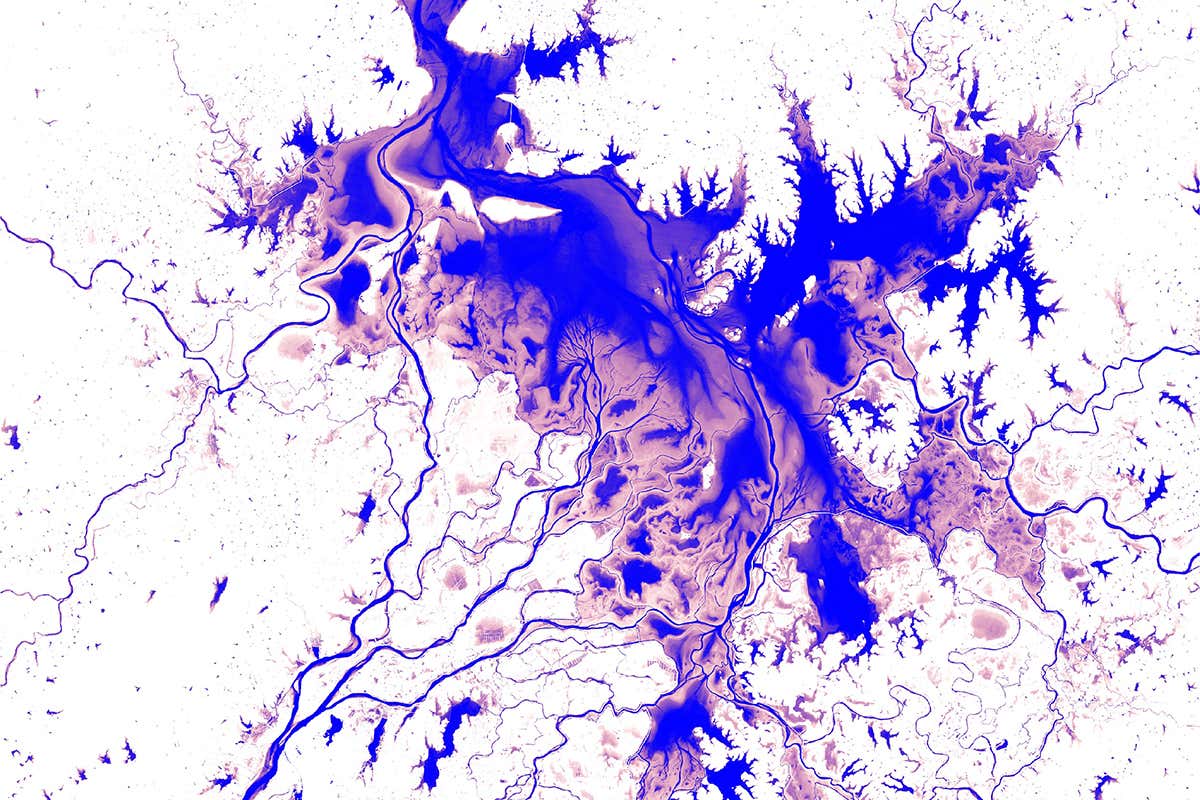 Sprawling purple pattern showing water in Poyang Lake in China